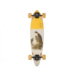 Longboard Globe Pintail 34 Falcon