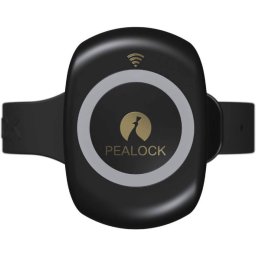 Pealock 2 - negru - Încuietoare inteligentă electronică