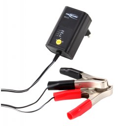 Incarcator acumulator stationar ANSMANN ALCS 2-12 0.4