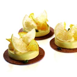 Forma Silicon Gianluca Fusto, Monoportii Rotund, O 7.4 x h 1.5 cm, 64 ml, 12 cavitati