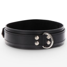 Taboom Heavy D-Ring Collar Black