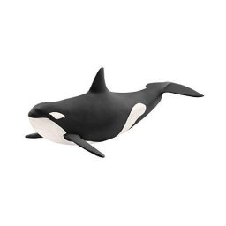 Schleich Wild Life Orka - 14807