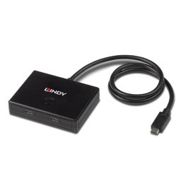 Switch bidirectional USB 3.2 Gen1-C 2 porturi, Lindy L43329*