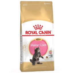 Hrana uscata pentru Pisici, Royal Canin Maine Coon Kitten, 10 kg