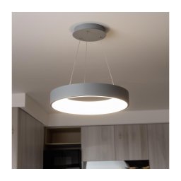 BRILAGI - Corp LED suspendat dimabil pe cablu FALCON LED/80W/230V 3000-6500K + telecomandă