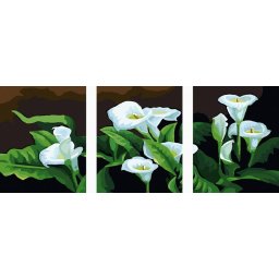 Set 3 picturi pe numere, cu sasiu, Cale albe, 50x120 cm