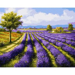 Set pictura pe numere, cu sasiu, Camp de lavanda, 40x50 cm
