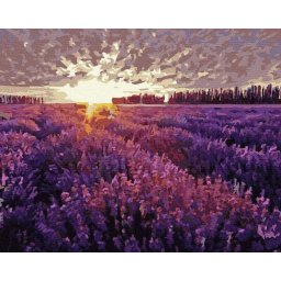 Set pictura pe numere, cu sasiu, Apus peste campul de lavanda, 40x50 cm