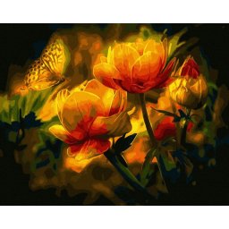 Set pictura pe numere, cu sasiu, Cercul vietii, 40x50 cm