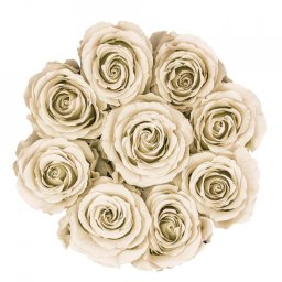 Aranjament floral cu 9 trandafiri de sapun, in cutie neagra rotunda, crem