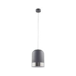 Jupiter 1649 - Lustră pe cablu DIXON 1xE27/60W/230V argintiu/alb