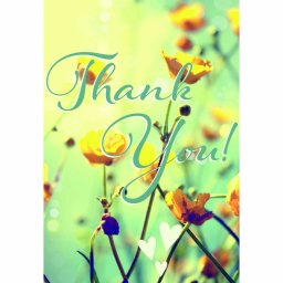 Puzzle Thank You, 99 Piese