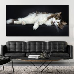 Tablou Canvas Pisica La Relaxare Pe Canapea cu Fundal Negru CAT48 (Dimensiune LxH: 160x80cm)
