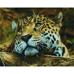 Set goblen cu diamante, cu sasiu, Leopard bland 40x50 cm