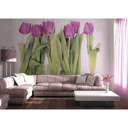 Fototapet Violet Tulips Big