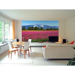 Fototapet Tulips
