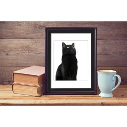 Sticker 2In1 Cute Black Cat Frame Sticker