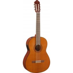 Yamaha CGX 122 MS
