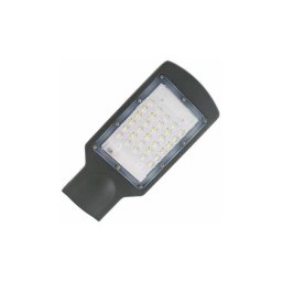 Lampadar LED stradal LED/30W/230V IP67