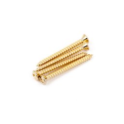 Fender Neck Mounting Screws Chrome Gold
