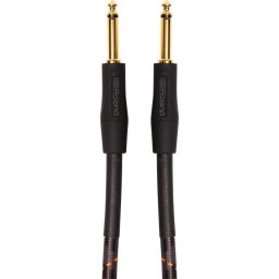 Roland RIC-G25