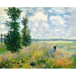 Set pictura pe numere, cu sasiu, Camp de maci - Monet, 40x50 cm