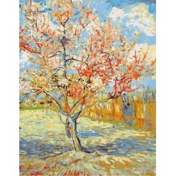 Set pictura pe numere, cu sasiu, Piersici in floare - van Gogh, 40x50 cm
