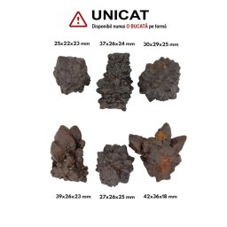 Piatra Profetiei Bruta Naturala - 25-42 x 22-36 x 18-25 mm - ( XL ) - 1 Buc