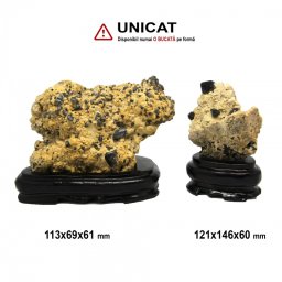 Cuart Negru - Morion in Matrice cu Suport Naturala Bruta - 113 x 121 x 69-146 x 60-61 mm - ( XXL) - 1 Buc