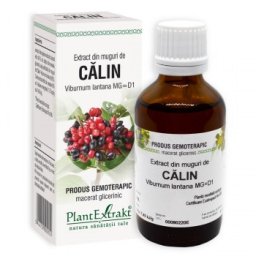 Călin - Extract din muguri de călin- extract gemoterapic