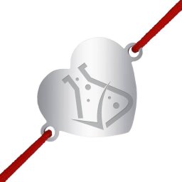 Martisor Bratara Inox Inima Argintie Chimie