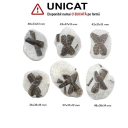 Staurolit - Piatra Crucii Bruta Naturala 36-57 x 31-38 x 12-16 mm - ( XXL ) - 1 Buc