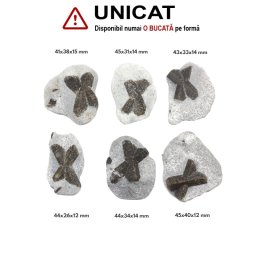 Staurolit - Piatra Crucii Bruta Naturala 41-45 x 26-40 x 12-15 mm - ( XXL ) - 1 Buc