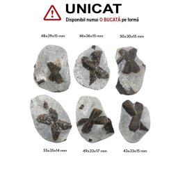 Staurolit - Piatra Crucii Bruta Naturala 43-55 x 30-39 x 14-17 mm - ( XXL ) - 1 Buc