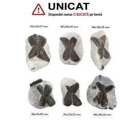 Staurolit - Piatra Crucii Bruta Naturala 35-48 x 23-39 x 10-17 mm - ( XXL ) - 1 Buc