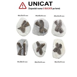 Staurolit - Piatra Crucii Bruta Naturala 38-46 x 28-40 x 12-16 mm - ( XXL ) - 1 Buc