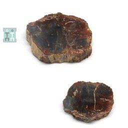 Fosil Lemn Mineral Natural Neregulat - 88x71x19 mm - ( XXL ) - Unicat