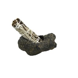 Suport Fosil Coral cu Iarpa Santa - 114x76x 63 mm