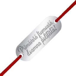 Martisor Bratara Inox Placuta Argintie Primavara frumoasa Politista
