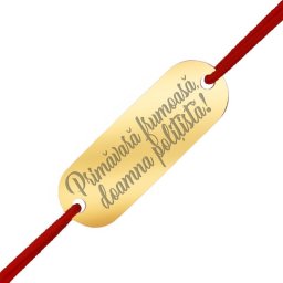 Martisor Bratara Inox Placuta Aurie Primavara frumoasa Politista