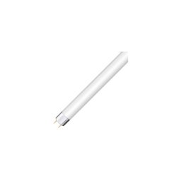 Tub fluorescent T8 G13/15W/90V 6500K