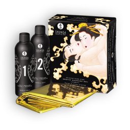 Shunga Corp la Corp Set de Masaj - aroma Pepene cu Mango