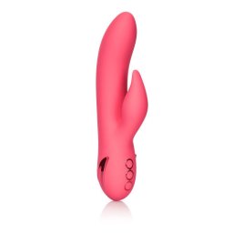 California Dreaming Iubitul din San Francisco Vibrator Roz
