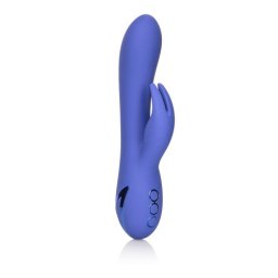 California Dreaming Iepurasul din Beverly Hills Vibrator Violet