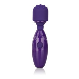 CalExotics Mici Stimulatoare Nubby Bagheta pentru Masaj