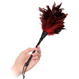 Fetish Fantasy Pana Nebunatica Curata si Lustruieste in Zonele Potrivite Rosie cu Negru