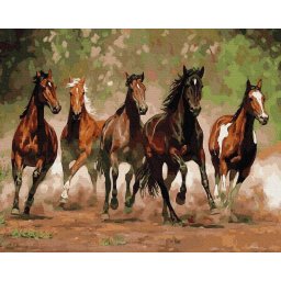 Set pictura pe numele, cu sasiu, Galop, 40x50 cm