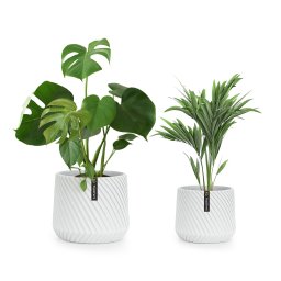 Fox & Fern Heusden, set de 2 ghivece, din polistiren, potrivite pentru plante, realizate manual, aspect 3D (PP-LINE-MW-SMSET)