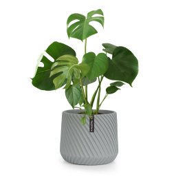 Fox & Fern Heusden, kvetináč, Polystone, vhodný pre rastliny, ručná výroba (PP-LINE-M-GR)