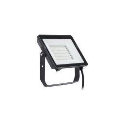Proiector LED de exterior PROJECTLINE LED/50W/230V IP65 3000K Philips